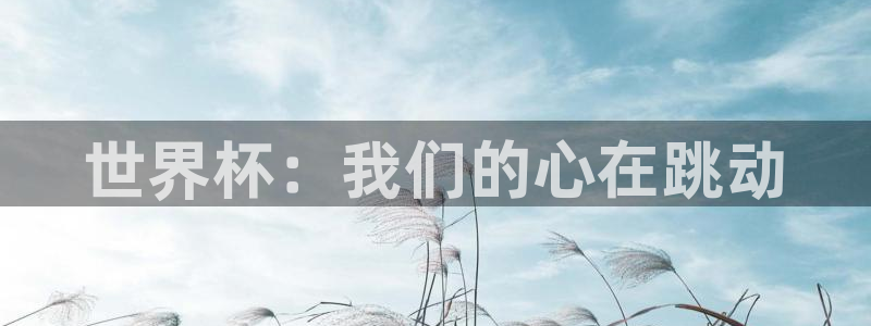 法国杯2026赛程表:世界杯:我们的心在跳动