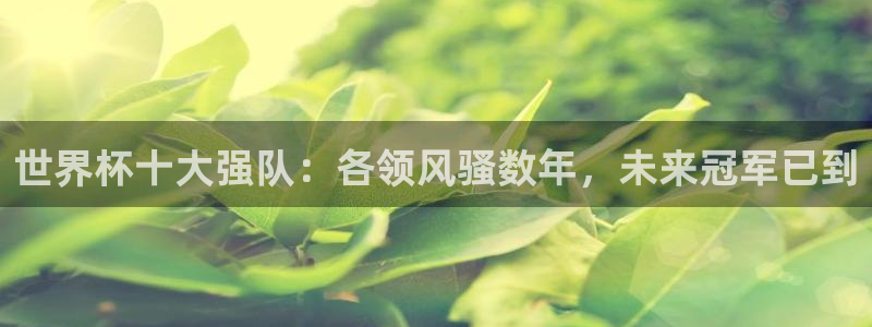 世界杯比赛:世界杯十大强队:各领风骚数年,未来冠军已到