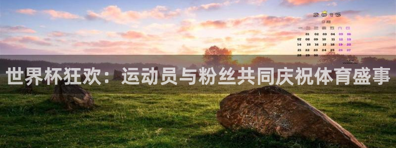 世界杯2026预选赛:世界杯狂欢:运动员与粉丝共同庆祝体育盛事