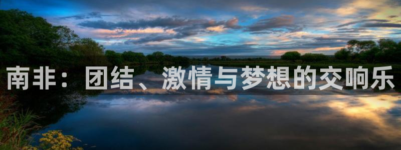世界杯直播免费观看:南非:团结、激情与梦想的交响乐