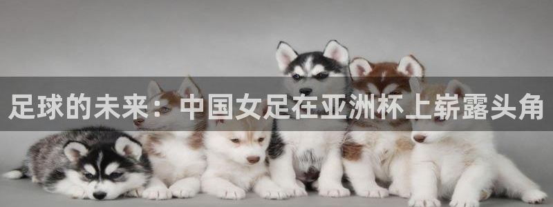 2026世界杯对阵图:足球的未来:中国女足在亚洲杯上崭露头角