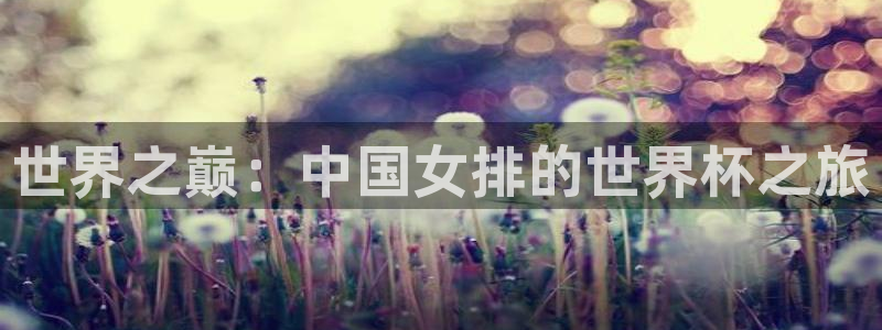 世界杯直播高清:世界之巅:中国女排的世界杯之旅