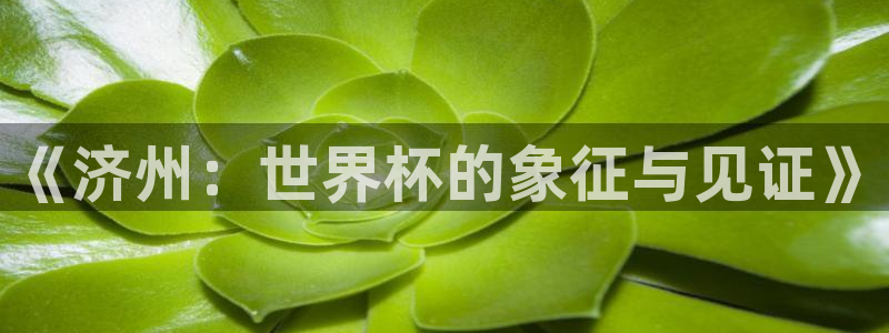 世界杯预选赛规则:《济州:世界杯的象征与见证》