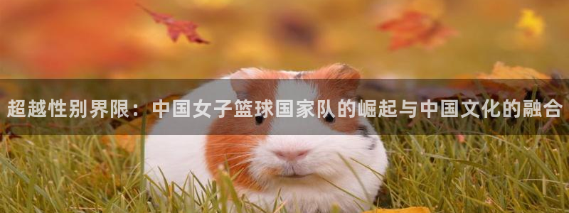 世界杯第一场比赛:超越性别界限:中国女子篮球国家队的崛起与中国文化的融合