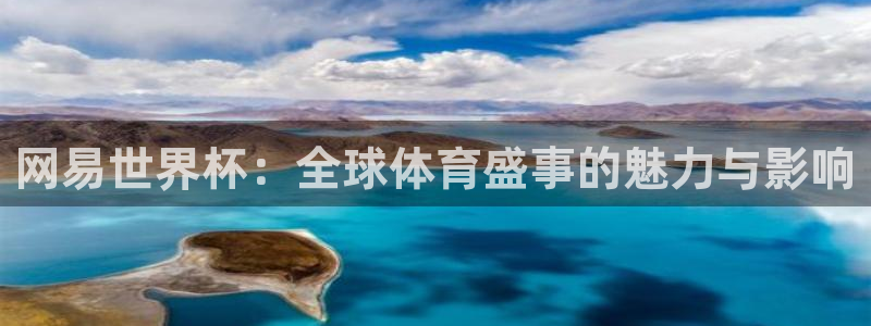足球世预赛:网易世界杯:全球体育盛事的魅力与影响