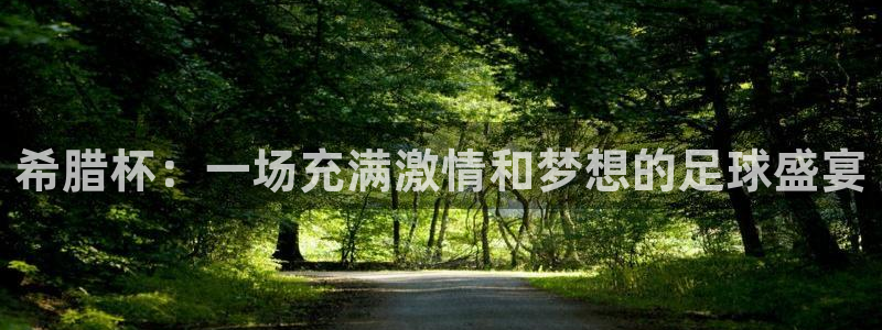 世界杯赛程表:希腊杯:一场充满激情和梦想的足球盛宴